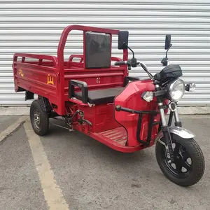 Factory Supply Popular New Batch Electric Tricycles 3 Wheels Electric Cargo Bike