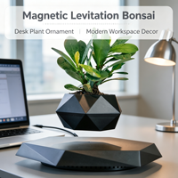 Pot de plante en ABS à lévitation magnétique, pot flottant rotatif, design minimaliste, cadeau créatif unique, décoration d'intérieur pour bonsaï