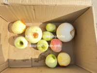 Automatische Appelschilmachine En Oranje Kiwi-Schilmachine