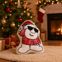Coussin personnalisé en forme de chat moche à faire soi-même, oreiller pour animaux de compagnie, coussin imprimé personnalisé, rembourré en coton PP, coussin doux pour la décoration de la maison