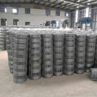 Grillage soudé à trous carrés, clôture de périmètre pour élevage de bétail, robuste