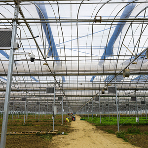 Serre agricole <span class=keywords><strong>tunnel</strong></span> à film multi-span pour la <span class=keywords><strong>culture</strong></span> hors-sol et la <span class=keywords><strong>culture</strong></span> hydroponique - Product Image 3