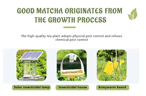 Poudre de Matcha Bio OEM EU4A 100G, Thé <span class=keywords><strong>Vert</strong></span> Matcha <span class=keywords><strong>Japonais</strong></span> de Qualité Cérémoniale, Personnalisation en Sachet Marque Propre, Test Matcha - Product Image 6