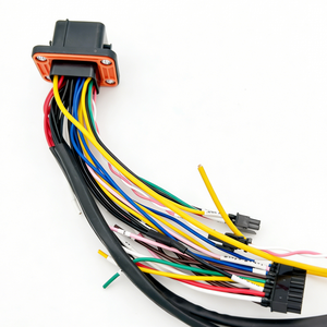 Ensemble de faisceaux de câbles automobiles sur mesure, kit de faisceaux de câbles pour voitures - Product Image 2