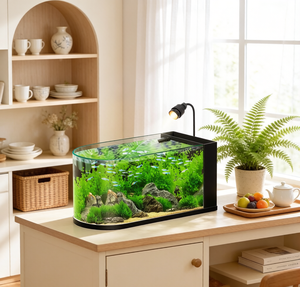 Acuario de Lujo de Vidrio Curvo <span class=keywords><strong>para</strong></span> Escritorio, Diseño de una Pieza, Ecológico, <span class=keywords><strong>para</strong></span> Peces Betta y Goldfish, Novedad 2026, <span class=keywords><strong>para</strong></span> Comedor y Dormitorio - Product Image 3