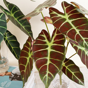 Bouquet de feuilles de taro artificielles, feuille de paon à 10 têtes, haute simulation, plante décorative d'intérieur, fleurs pour vase, vert automnal, vert foncé - Product Image 2