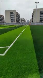 <span class=keywords><strong>Gazon</strong></span> artificiel haute performance 10 mm PP+PE pour terrains de football et de soccer en extérieur, durable, écologique, imperméable, vert clair - Product Image 4