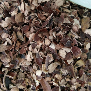 Proveedor superior de Vietnam, copos de cáscara de anacardo crudo sin polvo para bronceado, pellets de cáscara de anacardo de plástico agrícola de calidad - Product Image 2