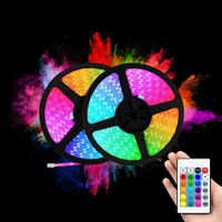 Offre Spéciale étanche 24 clés 12V Rgb Smd 5050 application de contrôle intelligent LED bande lumineuse