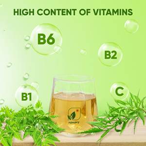 Custom Premium Grade Herbal <b>Tea</b> Export Solution NMPT Ming Aralia Leaf <b>Tea</b> 100% Natural Health Vietnam Origin MOQ 20 <b>Boxes</b> - Product Image 2