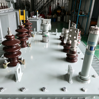 Transformateur de distribution immergé dans l'huile triphasé S20 à haut rendement énergétique 50-315 kVA 50 Hz/60 Hz IEC60076 Cuivre OEM