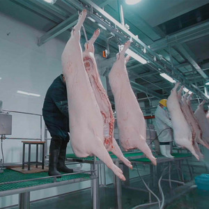 Equipo de Matanza de Cerdos de Fábrica, Línea Completa de Sacrificio de Cerdos, Maquinaria para Mataderos con Equipo de Carnicería - Product Image 3