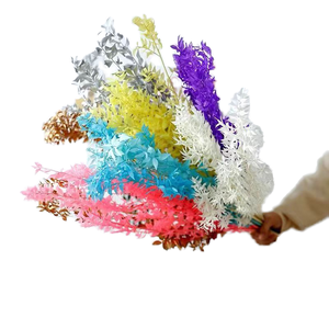 Hojas de <span class=keywords><strong>Eucalipto</strong></span> Secas y Blanqueadas al por Mayor, Tipo Ruscus Italiano, Pequeñas, para Ramos de Boda, Jarrones Decorativos y Decoración de Temporada - Product Image 1