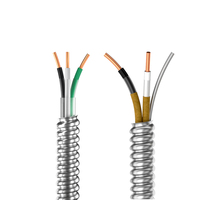 Cable BX de Bajo Voltaje AC90 con Certificación CUL, 14/2 12/2 14/3, Cobre Trenzado con Aislamiento de PVC, Blindaje de Acero Sólido para Calefacción, Canadá