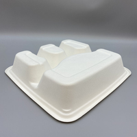 Plateau alimentaire biodégradable en pulpe de bagasse de canne à sucre avec couvercle, plateau de 9 pouces avec couvercle en pulpe PET