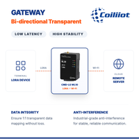 Passerelle LORA vers Wi-Fi pour appareils IoT, module sans fil bidirectionnel haute vitesse, montage sur rail DIN, Coiliiot WL10
