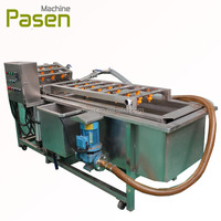 Draagbare Groente-en Reinigingsmachine Luchtbel Aardbei Wasmachine
