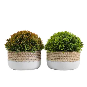 Duofu Home decor widgets Artificial grass bonsai indoor table decoration plants wholesale