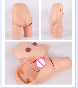 Modelo Avançado de Cateterização Masculina e Feminina, Auxílio Didático para Treinamento em Cateterização Humana - Product Image 3