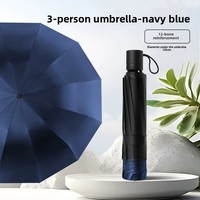 Grand parapluie manuel de 27 pouces à 12 côtes avec revêtement noir de conception classique Protection UV à double usage contre le soleil et la pluie Pliable à la main ouverte