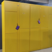Güvenli Bagaj Depolama Kiosku Özelleştirilebilir Boyut ve Düzenleme Modüler Bagaj Dolabı Kamusal Alanlar İçin