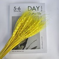 Bouquet de fleurs de blé séchées naturelles préservées pour la décoration de la maison et de mariage - Style bohème