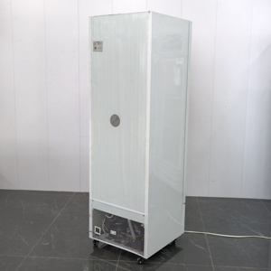 <span class=keywords><strong>Congelatore</strong></span> Verticale con Porta in Vetro, Frigorifero Espositore per Birra e Bevande per Negozi di Convenienza - Product Image 2