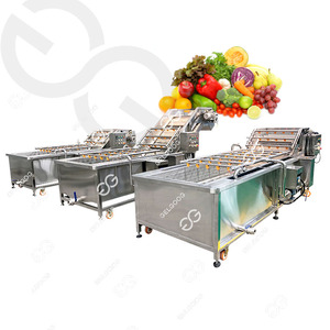 GELGOOG Fruit Washing Sorting And Grading Machines Wash Fruit Spray Conveyor Washing Machine For Durian Fruit