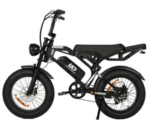 Brazil warehouse 20*4-inch tires 750W motor 48V15AH lithium battery hydraulic disc brake dual suspension <b>electric</b> mountain bike - Product Image 4