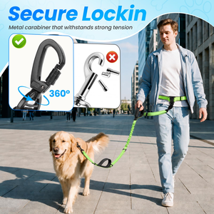 Custom Competitive Price Reflective Nylon <b>Pet</b> Lead Bungee Hands Free Dog Leash with Adjustable Waist Belt for Jogging <b>Running</b> - Product Image 3