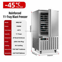 Congélateur commercial monotempérature à refroidissement par ventilateur, vertical, congélation rapide, refroidi par air, avec bac d'insertion, pour usage en restaurant, fruits de mer