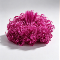 Perruque pour animaux de compagnie, pour chats et chiens, perruque afro universelle pour Halloween, accessoires capillaires personnalisés, toutes saisons
