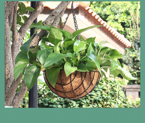 Pas Cher En Gros En Métal Fer Art Mur Jardin Cour Noix De <span class=keywords><strong>Coco</strong></span> Panier <span class=keywords><strong>Suspendu</strong></span> Planteur <span class=keywords><strong>Pot</strong></span> De Fleur - Product Image 4