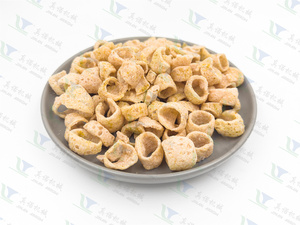 <span class=keywords><strong>Friteuse</strong></span> à Dumplings Électrique en Acier Inoxydable de Chine, Nouvelle <span class=keywords><strong>Friteuse</strong></span> à Bande Transporteuse pour Saucisses, Pani Puri, Chips, en Acier Inoxydable - Product Image 3