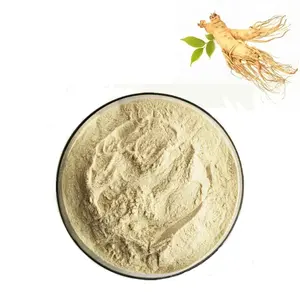 Wholesale Price American Ginseng Power Ginseng Root Extract for Sale