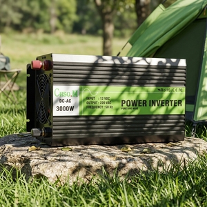 Convertisseur Photovoltaïque à Onde Sinusoïdale Pure SMP2-2000W DC24V DC48V vers 110V 230V AC 2KW 2000 Watts Hors Réseau Solaire MPPT pour Maison Rurale 50/60Hz - Product Image 2