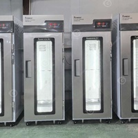 Équipement de boulangerie Prouveur industriel Pâtisserie Breass Steam Bun Pâte Proofer Room Cabinet Machine avec vente congelée