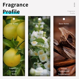 Perfume en Spray para Comercio Exterior Transfronterizo, Venta Directa del Fabricante Vilily, 100ML, Tamaño Completo, Popular, Bestseller en Muchos Países, para Hombre - Product Image 5