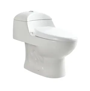 流行小厕所Inodoros Baratos抽水马桶陶瓷马桶短单便宜一体式陶瓷马桶