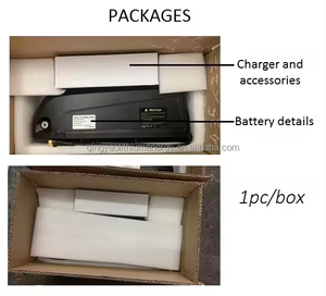 Hailong No.2 전기 자전거 Ebike 배터리 36v 48v 리튬 이온 배터리 팩 - Product Image 4