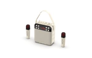 Expert Portable KTV Altavoz inalámbrico USB Aux Comunicación Sistema de audio al aire libre de nivel cuadrado Gabinete de plástico para cantar <span class=keywords><strong>Karaoke</strong></span> - Product Image 5