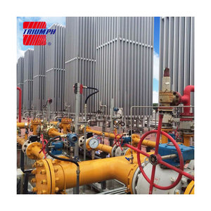 Vaporizador de baño de agua de 60000Nm, 3/h de gnl y calentador de placa de tubo en U para grupo de Gas Hefei - Product Image 5