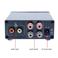 Amplificateur numérique BRZHIFI AUDIO PAD-100B, modèle Surround Mini HIFI, amplificateur numérique de haute qualité sonore, amplificateur domestique