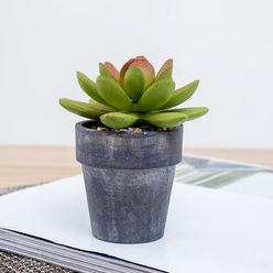 <span class=keywords><strong>Pas</strong></span> cher en gros mini <span class=keywords><strong>cactus</strong></span> extérieur assortiment d'intérieur arrangement artificielle plantes succulentes en pot ensemble - Product Image 4
