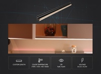 Éclairage LED pour armoire avec capteur, interrupteur 12V, intensité variable, écologique, pour hôtel, minibar, cuisine résidentielle, lumière ambiante douce YB1042-45