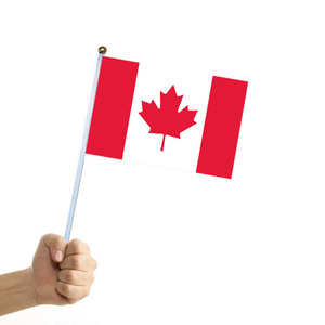 Drapeau national du Brésil populaire de petite taille, drapeau national du Brésil à tenir, drapeau national du Brésil pour supporters - Product Image 3