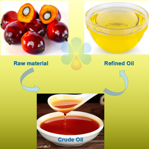 Tự động 20tph 30tph 50tph dầu cọ hoàn chỉnh dòng cọ trái cây dầu expeller extractor cọ hạt nhân nhà máy lọc dầu - Product Image 2