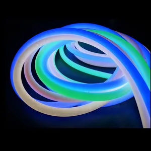 Flexible LED Neon Rope Lights: A Long-Lasting, Shatterproof Alternative to  Glass Neon Lights