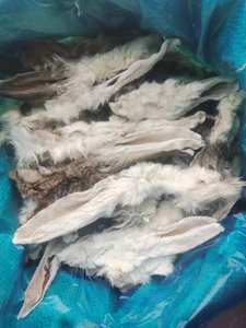 Commercio all'ingrosso della fabbrica di agnello di coniglio cibo per animali domestici etichetta privata orecchio di coniglio naturale cane gatto snack sano cibo secco per cani - Product Image 4