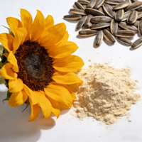Lécithine de tournesol dégraissée naturelle en poudre 95-98% PC, émulsifiant de qualité alimentaire pour mélange de protéines laitières et boissons